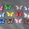 embleemid liblikad 12 tk 6,6x4 cm