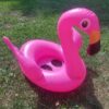 Beebide ujumisrõngas Flamingo