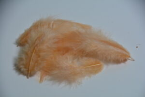 suled pakis ca 10 cm pikad beezid