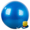 Vüimlemispall 65 cm +pump