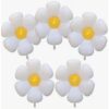 Peopallide komplekt Lilled 5 tk