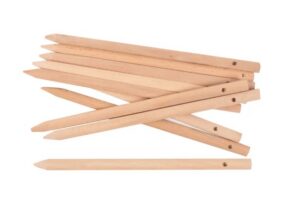 Punumisvardad 10 tk pakis 20 cm