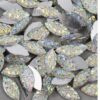 Akrüülist kaunistused tilgad  100 tk 15x7 mm
